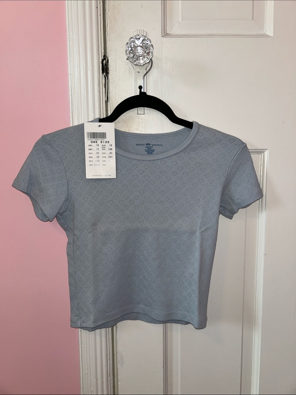 Brandy Melville Light Blue Shirt